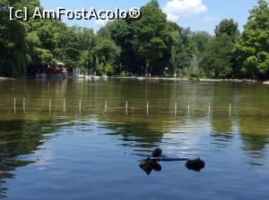 [P58] Parcul Cismigiu - lacul si tasnitoarea din mijlocul ei » foto by mishu
 - 
<span class="allrVoted glyphicon glyphicon-heart hidden" id="av752423"></span>
<a class="m-l-10 hidden" id="sv752423" onclick="voting_Foto_DelVot(,752423,11447)" role="button">șterge vot <span class="glyphicon glyphicon-remove"></span></a>
<a id="v9752423" class=" c-red"  onclick="voting_Foto_SetVot(752423)" role="button"><span class="glyphicon glyphicon-heart-empty"></span> <b>LIKE</b> = Votează poza</a> <img class="hidden"  id="f752423W9" src="/imagini/loader.gif" border="0" /><span class="AjErrMes hidden" id="e752423ErM"></span>