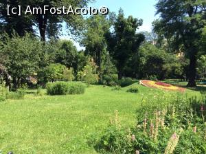 [P08] Parcul Cismigiu - vedere de ansamblu » foto by mishu
 - 
<span class="allrVoted glyphicon glyphicon-heart hidden" id="av752373"></span>
<a class="m-l-10 hidden" id="sv752373" onclick="voting_Foto_DelVot(,752373,11447)" role="button">șterge vot <span class="glyphicon glyphicon-remove"></span></a>
<a id="v9752373" class=" c-red"  onclick="voting_Foto_SetVot(752373)" role="button"><span class="glyphicon glyphicon-heart-empty"></span> <b>LIKE</b> = Votează poza</a> <img class="hidden"  id="f752373W9" src="/imagini/loader.gif" border="0" /><span class="AjErrMes hidden" id="e752373ErM"></span>
