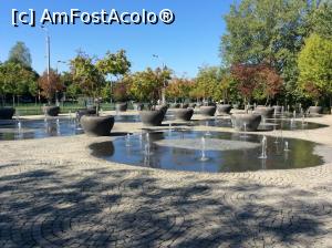 [P51] Am iesit in sosea sa fotografiez acest aranjament pentru ca arata foarte frumos » foto by mishu
 - 
<span class="allrVoted glyphicon glyphicon-heart hidden" id="av776339"></span>
<a class="m-l-10 hidden" id="sv776339" onclick="voting_Foto_DelVot(,776339,11447)" role="button">șterge vot <span class="glyphicon glyphicon-remove"></span></a>
<a id="v9776339" class=" c-red"  onclick="voting_Foto_SetVot(776339)" role="button"><span class="glyphicon glyphicon-heart-empty"></span> <b>LIKE</b> = Votează poza</a> <img class="hidden"  id="f776339W9" src="/imagini/loader.gif" border="0" /><span class="AjErrMes hidden" id="e776339ErM"></span>