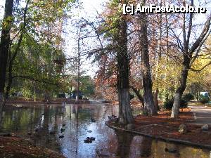 [P03] În faţa unui asemenea peisaj, Cl. Monet s-ar îngălbeni de invidie » foto by Michi
 - 
<span class="allrVoted glyphicon glyphicon-heart hidden" id="av484835"></span>
<a class="m-l-10 hidden" id="sv484835" onclick="voting_Foto_DelVot(,484835,11447)" role="button">șterge vot <span class="glyphicon glyphicon-remove"></span></a>
<a id="v9484835" class=" c-red"  onclick="voting_Foto_SetVot(484835)" role="button"><span class="glyphicon glyphicon-heart-empty"></span> <b>LIKE</b> = Votează poza</a> <img class="hidden"  id="f484835W9" src="/imagini/loader.gif" border="0" /><span class="AjErrMes hidden" id="e484835ErM"></span>
