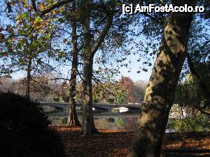 [P08] Podul principal al parcului » foto by Michi
 - 
<span class="allrVoted glyphicon glyphicon-heart hidden" id="av484840"></span>
<a class="m-l-10 hidden" id="sv484840" onclick="voting_Foto_DelVot(,484840,11447)" role="button">șterge vot <span class="glyphicon glyphicon-remove"></span></a>
<a id="v9484840" class=" c-red"  onclick="voting_Foto_SetVot(484840)" role="button"><span class="glyphicon glyphicon-heart-empty"></span> <b>LIKE</b> = Votează poza</a> <img class="hidden"  id="f484840W9" src="/imagini/loader.gif" border="0" /><span class="AjErrMes hidden" id="e484840ErM"></span>