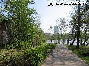 [P06] Marginea stângă a parcului Bordei. În planul doi Sky Tower » foto by Michi
 - 
<span class="allrVoted glyphicon glyphicon-heart hidden" id="av504547"></span>
<a class="m-l-10 hidden" id="sv504547" onclick="voting_Foto_DelVot(,504547,11447)" role="button">șterge vot <span class="glyphicon glyphicon-remove"></span></a>
<a id="v9504547" class=" c-red"  onclick="voting_Foto_SetVot(504547)" role="button"><span class="glyphicon glyphicon-heart-empty"></span> <b>LIKE</b> = Votează poza</a> <img class="hidden"  id="f504547W9" src="/imagini/loader.gif" border="0" /><span class="AjErrMes hidden" id="e504547ErM"></span>