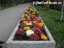 [P14] largile alei ale parcului te asteapta... » foto by sandu.53
 - 
<span class="allrVoted glyphicon glyphicon-heart hidden" id="av112954"></span>
<a class="m-l-10 hidden" id="sv112954" onclick="voting_Foto_DelVot(,112954,11447)" role="button">șterge vot <span class="glyphicon glyphicon-remove"></span></a>
<a id="v9112954" class=" c-red"  onclick="voting_Foto_SetVot(112954)" role="button"><span class="glyphicon glyphicon-heart-empty"></span> <b>LIKE</b> = Votează poza</a> <img class="hidden"  id="f112954W9" src="/imagini/loader.gif" border="0" /><span class="AjErrMes hidden" id="e112954ErM"></span>