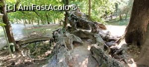 [P12] Zona „Rocilor” (1906). » foto by tata123 🔱
 - 
<span class="allrVoted glyphicon glyphicon-heart hidden" id="av1494559"></span>
<a class="m-l-10 hidden" id="sv1494559" onclick="voting_Foto_DelVot(,1494559,11447)" role="button">șterge vot <span class="glyphicon glyphicon-remove"></span></a>
<a id="v91494559" class=" c-red"  onclick="voting_Foto_SetVot(1494559)" role="button"><span class="glyphicon glyphicon-heart-empty"></span> <b>LIKE</b> = Votează poza</a> <img class="hidden"  id="f1494559W9" src="/imagini/loader.gif" border="0" /><span class="AjErrMes hidden" id="e1494559ErM"></span>