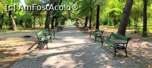 [P14] Alee în Parc. » foto by tata123 🔱
 - 
<span class="allrVoted glyphicon glyphicon-heart hidden" id="av1494561"></span>
<a class="m-l-10 hidden" id="sv1494561" onclick="voting_Foto_DelVot(,1494561,11447)" role="button">șterge vot <span class="glyphicon glyphicon-remove"></span></a>
<a id="v91494561" class=" c-red"  onclick="voting_Foto_SetVot(1494561)" role="button"><span class="glyphicon glyphicon-heart-empty"></span> <b>LIKE</b> = Votează poza</a> <img class="hidden"  id="f1494561W9" src="/imagini/loader.gif" border="0" /><span class="AjErrMes hidden" id="e1494561ErM"></span>