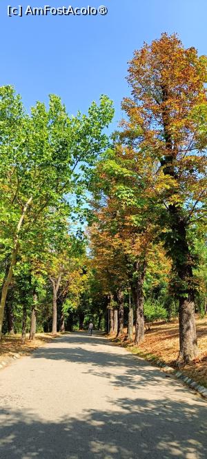 [P04] Alee în parc. » foto by tata123 🔱
 - 
<span class="allrVoted glyphicon glyphicon-heart hidden" id="av1494551"></span>
<a class="m-l-10 hidden" id="sv1494551" onclick="voting_Foto_DelVot(,1494551,11447)" role="button">șterge vot <span class="glyphicon glyphicon-remove"></span></a>
<a id="v91494551" class=" c-red"  onclick="voting_Foto_SetVot(1494551)" role="button"><span class="glyphicon glyphicon-heart-empty"></span> <b>LIKE</b> = Votează poza</a> <img class="hidden"  id="f1494551W9" src="/imagini/loader.gif" border="0" /><span class="AjErrMes hidden" id="e1494551ErM"></span>