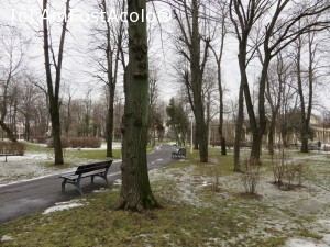 [P22] Prin Parcul Bazilescu.  » foto by tata123 🔱
 - 
<span class="allrVoted glyphicon glyphicon-heart hidden" id="av706261"></span>
<a class="m-l-10 hidden" id="sv706261" onclick="voting_Foto_DelVot(,706261,11447)" role="button">șterge vot <span class="glyphicon glyphicon-remove"></span></a>
<a id="v9706261" class=" c-red"  onclick="voting_Foto_SetVot(706261)" role="button"><span class="glyphicon glyphicon-heart-empty"></span> <b>LIKE</b> = Votează poza</a> <img class="hidden"  id="f706261W9" src="/imagini/loader.gif" border="0" /><span class="AjErrMes hidden" id="e706261ErM"></span>