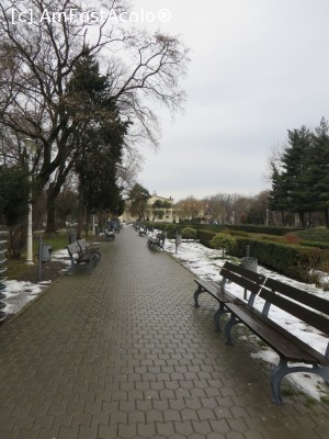 [P09] Parcul Bazilescu - aleea principală.  » foto by tata123 🔱
 - 
<span class="allrVoted glyphicon glyphicon-heart hidden" id="av706248"></span>
<a class="m-l-10 hidden" id="sv706248" onclick="voting_Foto_DelVot(,706248,11447)" role="button">șterge vot <span class="glyphicon glyphicon-remove"></span></a>
<a id="v9706248" class=" c-red"  onclick="voting_Foto_SetVot(706248)" role="button"><span class="glyphicon glyphicon-heart-empty"></span> <b>LIKE</b> = Votează poza</a> <img class="hidden"  id="f706248W9" src="/imagini/loader.gif" border="0" /><span class="AjErrMes hidden" id="e706248ErM"></span>