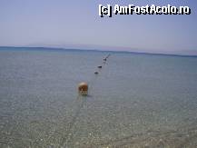 [P05] crystal clear water » foto by roxana.tomina
 - 
<span class="allrVoted glyphicon glyphicon-heart hidden" id="av315247"></span>
<a class="m-l-10 hidden" id="sv315247" onclick="voting_Foto_DelVot(,315247,11506)" role="button">șterge vot <span class="glyphicon glyphicon-remove"></span></a>
<a id="v9315247" class=" c-red"  onclick="voting_Foto_SetVot(315247)" role="button"><span class="glyphicon glyphicon-heart-empty"></span> <b>LIKE</b> = Votează poza</a> <img class="hidden"  id="f315247W9" src="/imagini/loader.gif" border="0" /><span class="AjErrMes hidden" id="e315247ErM"></span>