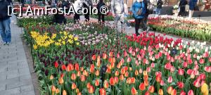 [P23] Grădinile Keukenhof, Pavilionul Willem-Alexander, cu nesfârșite lalele... » foto by mprofeanu
 - 
<span class="allrVoted glyphicon glyphicon-heart hidden" id="av1481583"></span>
<a class="m-l-10 hidden" id="sv1481583" onclick="voting_Foto_DelVot(,1481583,11516)" role="button">șterge vot <span class="glyphicon glyphicon-remove"></span></a>
<a id="v91481583" class=" c-red"  onclick="voting_Foto_SetVot(1481583)" role="button"><span class="glyphicon glyphicon-heart-empty"></span> <b>LIKE</b> = Votează poza</a> <img class="hidden"  id="f1481583W9" src="/imagini/loader.gif" border="0" /><span class="AjErrMes hidden" id="e1481583ErM"></span>