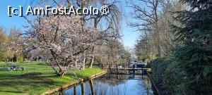[P28] Grădinile Keukenhof, Canale și poduri » foto by mprofeanu
 - 
<span class="allrVoted glyphicon glyphicon-heart hidden" id="av1481588"></span>
<a class="m-l-10 hidden" id="sv1481588" onclick="voting_Foto_DelVot(,1481588,11516)" role="button">șterge vot <span class="glyphicon glyphicon-remove"></span></a>
<a id="v91481588" class=" c-red"  onclick="voting_Foto_SetVot(1481588)" role="button"><span class="glyphicon glyphicon-heart-empty"></span> <b>LIKE</b> = Votează poza</a> <img class="hidden"  id="f1481588W9" src="/imagini/loader.gif" border="0" /><span class="AjErrMes hidden" id="e1481588ErM"></span>