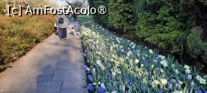 [P35] Grădinile Keukenhof, Pe alei » foto by mprofeanu
 - 
<span class="allrVoted glyphicon glyphicon-heart hidden" id="av1481595"></span>
<a class="m-l-10 hidden" id="sv1481595" onclick="voting_Foto_DelVot(,1481595,11516)" role="button">șterge vot <span class="glyphicon glyphicon-remove"></span></a>
<a id="v91481595" class=" c-red"  onclick="voting_Foto_SetVot(1481595)" role="button"><span class="glyphicon glyphicon-heart-empty"></span> <b>LIKE</b> = Votează poza</a> <img class="hidden"  id="f1481595W9" src="/imagini/loader.gif" border="0" /><span class="AjErrMes hidden" id="e1481595ErM"></span>