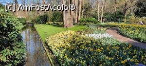[P70] Grădinile Keukenhof, Canal cu flori » foto by mprofeanu
 - 
<span class="allrVoted glyphicon glyphicon-heart hidden" id="av1481630"></span>
<a class="m-l-10 hidden" id="sv1481630" onclick="voting_Foto_DelVot(,1481630,11516)" role="button">șterge vot <span class="glyphicon glyphicon-remove"></span></a>
<a id="v91481630" class=" c-red"  onclick="voting_Foto_SetVot(1481630)" role="button"><span class="glyphicon glyphicon-heart-empty"></span> <b>LIKE</b> = Votează poza</a> <img class="hidden"  id="f1481630W9" src="/imagini/loader.gif" border="0" /><span class="AjErrMes hidden" id="e1481630ErM"></span>
