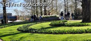 [P73] Grădinile Keukenhof, Lalele erau neînflorite aici.... » foto by mprofeanu
 - 
<span class="allrVoted glyphicon glyphicon-heart hidden" id="av1481633"></span>
<a class="m-l-10 hidden" id="sv1481633" onclick="voting_Foto_DelVot(,1481633,11516)" role="button">șterge vot <span class="glyphicon glyphicon-remove"></span></a>
<a id="v91481633" class=" c-red"  onclick="voting_Foto_SetVot(1481633)" role="button"><span class="glyphicon glyphicon-heart-empty"></span> <b>LIKE</b> = Votează poza</a> <img class="hidden"  id="f1481633W9" src="/imagini/loader.gif" border="0" /><span class="AjErrMes hidden" id="e1481633ErM"></span>