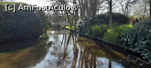 [P81] Grădinile Keukenhof, Canal și pod pozat din Grădina Istorică » foto by mprofeanu
 - 
<span class="allrVoted glyphicon glyphicon-heart hidden" id="av1481641"></span>
<a class="m-l-10 hidden" id="sv1481641" onclick="voting_Foto_DelVot(,1481641,11516)" role="button">șterge vot <span class="glyphicon glyphicon-remove"></span></a>
<a id="v91481641" class=" c-red"  onclick="voting_Foto_SetVot(1481641)" role="button"><span class="glyphicon glyphicon-heart-empty"></span> <b>LIKE</b> = Votează poza</a> <img class="hidden"  id="f1481641W9" src="/imagini/loader.gif" border="0" /><span class="AjErrMes hidden" id="e1481641ErM"></span>
