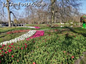 [P12] Keukenhof » foto by Marius 72
 - 
<span class="allrVoted glyphicon glyphicon-heart hidden" id="av1304922"></span>
<a class="m-l-10 hidden" id="sv1304922" onclick="voting_Foto_DelVot(,1304922,11516)" role="button">șterge vot <span class="glyphicon glyphicon-remove"></span></a>
<a id="v91304922" class=" c-red"  onclick="voting_Foto_SetVot(1304922)" role="button"><span class="glyphicon glyphicon-heart-empty"></span> <b>LIKE</b> = Votează poza</a> <img class="hidden"  id="f1304922W9" src="/imagini/loader.gif" border="0" /><span class="AjErrMes hidden" id="e1304922ErM"></span>