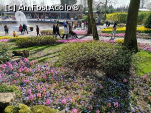 [P03] Keukenhof » foto by Marius 72
 - 
<span class="allrVoted glyphicon glyphicon-heart hidden" id="av1304906"></span>
<a class="m-l-10 hidden" id="sv1304906" onclick="voting_Foto_DelVot(,1304906,11516)" role="button">șterge vot <span class="glyphicon glyphicon-remove"></span></a>
<a id="v91304906" class=" c-red"  onclick="voting_Foto_SetVot(1304906)" role="button"><span class="glyphicon glyphicon-heart-empty"></span> <b>LIKE</b> = Votează poza</a> <img class="hidden"  id="f1304906W9" src="/imagini/loader.gif" border="0" /><span class="AjErrMes hidden" id="e1304906ErM"></span>