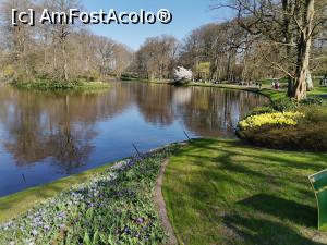 [P06] Keukenhof » foto by Marius 72
 - 
<span class="allrVoted glyphicon glyphicon-heart hidden" id="av1304909"></span>
<a class="m-l-10 hidden" id="sv1304909" onclick="voting_Foto_DelVot(,1304909,11516)" role="button">șterge vot <span class="glyphicon glyphicon-remove"></span></a>
<a id="v91304909" class=" c-red"  onclick="voting_Foto_SetVot(1304909)" role="button"><span class="glyphicon glyphicon-heart-empty"></span> <b>LIKE</b> = Votează poza</a> <img class="hidden"  id="f1304909W9" src="/imagini/loader.gif" border="0" /><span class="AjErrMes hidden" id="e1304909ErM"></span>