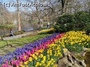 [P07] Keukenhof » foto by Marius 72
 - 
<span class="allrVoted glyphicon glyphicon-heart hidden" id="av1304910"></span>
<a class="m-l-10 hidden" id="sv1304910" onclick="voting_Foto_DelVot(,1304910,11516)" role="button">șterge vot <span class="glyphicon glyphicon-remove"></span></a>
<a id="v91304910" class=" c-red"  onclick="voting_Foto_SetVot(1304910)" role="button"><span class="glyphicon glyphicon-heart-empty"></span> <b>LIKE</b> = Votează poza</a> <img class="hidden"  id="f1304910W9" src="/imagini/loader.gif" border="0" /><span class="AjErrMes hidden" id="e1304910ErM"></span>