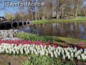 [P09] Keukenhof » foto by Marius 72
 - 
<span class="allrVoted glyphicon glyphicon-heart hidden" id="av1304914"></span>
<a class="m-l-10 hidden" id="sv1304914" onclick="voting_Foto_DelVot(,1304914,11516)" role="button">șterge vot <span class="glyphicon glyphicon-remove"></span></a>
<a id="v91304914" class=" c-red"  onclick="voting_Foto_SetVot(1304914)" role="button"><span class="glyphicon glyphicon-heart-empty"></span> <b>LIKE</b> = Votează poza</a> <img class="hidden"  id="f1304914W9" src="/imagini/loader.gif" border="0" /><span class="AjErrMes hidden" id="e1304914ErM"></span>