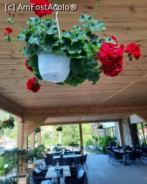 [P11]  -- <small>// FĂRĂ DESCRIERE</small> » foto by ux125821
 - 
<span class="allrVoted glyphicon glyphicon-heart hidden" id="av1309170"></span>
<a class="m-l-10 hidden" id="sv1309170" onclick="voting_Foto_DelVot(,1309170,11553)" role="button">șterge vot <span class="glyphicon glyphicon-remove"></span></a>
<a id="v91309170" class=" c-red"  onclick="voting_Foto_SetVot(1309170)" role="button"><span class="glyphicon glyphicon-heart-empty"></span> <b>LIKE</b> = Votează poza</a> <img class="hidden"  id="f1309170W9" src="/imagini/loader.gif" border="0" /><span class="AjErrMes hidden" id="e1309170ErM"></span>