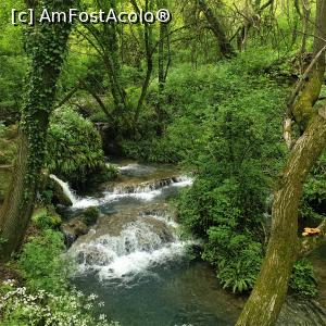 [P28] Cascadele Krushuna - praguri și ape învorburate » foto by k-lator
 - 
<span class="allrVoted glyphicon glyphicon-heart hidden" id="av1302228"></span>
<a class="m-l-10 hidden" id="sv1302228" onclick="voting_Foto_DelVot(,1302228,11645)" role="button">șterge vot <span class="glyphicon glyphicon-remove"></span></a>
<a id="v91302228" class=" c-red"  onclick="voting_Foto_SetVot(1302228)" role="button"><span class="glyphicon glyphicon-heart-empty"></span> <b>LIKE</b> = Votează poza</a> <img class="hidden"  id="f1302228W9" src="/imagini/loader.gif" border="0" /><span class="AjErrMes hidden" id="e1302228ErM"></span>