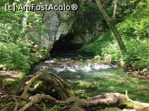 [P06] Cascadele Krushuna - peștera Vodopava » foto by k-lator
 - 
<span class="allrVoted glyphicon glyphicon-heart hidden" id="av1302206"></span>
<a class="m-l-10 hidden" id="sv1302206" onclick="voting_Foto_DelVot(,1302206,11645)" role="button">șterge vot <span class="glyphicon glyphicon-remove"></span></a>
<a id="v91302206" class=" c-red"  onclick="voting_Foto_SetVot(1302206)" role="button"><span class="glyphicon glyphicon-heart-empty"></span> <b>LIKE</b> = Votează poza</a> <img class="hidden"  id="f1302206W9" src="/imagini/loader.gif" border="0" /><span class="AjErrMes hidden" id="e1302206ErM"></span>