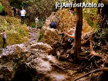 [P15] turiştii caută locuri cât mai bune de admirat sau fotografiat cascada » foto by vasilica
 - 
<span class="allrVoted glyphicon glyphicon-heart hidden" id="av376842"></span>
<a class="m-l-10 hidden" id="sv376842" onclick="voting_Foto_DelVot(,376842,11645)" role="button">șterge vot <span class="glyphicon glyphicon-remove"></span></a>
<a id="v9376842" class=" c-red"  onclick="voting_Foto_SetVot(376842)" role="button"><span class="glyphicon glyphicon-heart-empty"></span> <b>LIKE</b> = Votează poza</a> <img class="hidden"  id="f376842W9" src="/imagini/loader.gif" border="0" /><span class="AjErrMes hidden" id="e376842ErM"></span>
