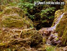 [P05] detaliu cascada cu frunze galbene » foto by vasilica
 - 
<span class="allrVoted glyphicon glyphicon-heart hidden" id="av376824"></span>
<a class="m-l-10 hidden" id="sv376824" onclick="voting_Foto_DelVot(,376824,11645)" role="button">șterge vot <span class="glyphicon glyphicon-remove"></span></a>
<a id="v9376824" class=" c-red"  onclick="voting_Foto_SetVot(376824)" role="button"><span class="glyphicon glyphicon-heart-empty"></span> <b>LIKE</b> = Votează poza</a> <img class="hidden"  id="f376824W9" src="/imagini/loader.gif" border="0" /><span class="AjErrMes hidden" id="e376824ErM"></span>