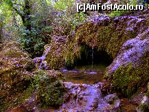[P07] atmosfera magică » foto by vasilica
 - 
<span class="allrVoted glyphicon glyphicon-heart hidden" id="av376827"></span>
<a class="m-l-10 hidden" id="sv376827" onclick="voting_Foto_DelVot(,376827,11645)" role="button">șterge vot <span class="glyphicon glyphicon-remove"></span></a>
<a id="v9376827" class=" c-red"  onclick="voting_Foto_SetVot(376827)" role="button"><span class="glyphicon glyphicon-heart-empty"></span> <b>LIKE</b> = Votează poza</a> <img class="hidden"  id="f376827W9" src="/imagini/loader.gif" border="0" /><span class="AjErrMes hidden" id="e376827ErM"></span>