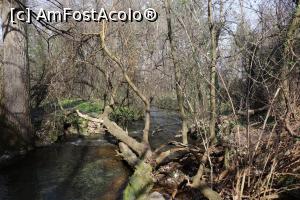[P09] Rauletul ce formeaza cascada, la iesirea din pestera » foto by valileau
 - 
<span class="allrVoted glyphicon glyphicon-heart hidden" id="av1058822"></span>
<a class="m-l-10 hidden" id="sv1058822" onclick="voting_Foto_DelVot(,1058822,11645)" role="button">șterge vot <span class="glyphicon glyphicon-remove"></span></a>
<a id="v91058822" class=" c-red"  onclick="voting_Foto_SetVot(1058822)" role="button"><span class="glyphicon glyphicon-heart-empty"></span> <b>LIKE</b> = Votează poza</a> <img class="hidden"  id="f1058822W9" src="/imagini/loader.gif" border="0" /><span class="AjErrMes hidden" id="e1058822ErM"></span>