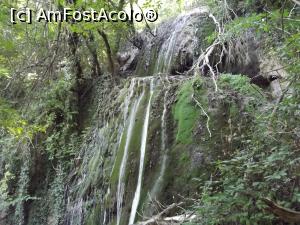 [P02] Cascada Misterioasă (Тайнствения Водопада)  » foto by irinad
 - 
<span class="allrVoted glyphicon glyphicon-heart hidden" id="av802372"></span>
<a class="m-l-10 hidden" id="sv802372" onclick="voting_Foto_DelVot(,802372,11645)" role="button">șterge vot <span class="glyphicon glyphicon-remove"></span></a>
<a id="v9802372" class=" c-red"  onclick="voting_Foto_SetVot(802372)" role="button"><span class="glyphicon glyphicon-heart-empty"></span> <b>LIKE</b> = Votează poza</a> <img class="hidden"  id="f802372W9" src="/imagini/loader.gif" border="0" /><span class="AjErrMes hidden" id="e802372ErM"></span>