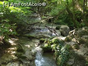 [P05] Natura, lăsată în voia ei!  » foto by irinad
 - 
<span class="allrVoted glyphicon glyphicon-heart hidden" id="av802375"></span>
<a class="m-l-10 hidden" id="sv802375" onclick="voting_Foto_DelVot(,802375,11645)" role="button">șterge vot <span class="glyphicon glyphicon-remove"></span></a>
<a id="v9802375" class=" c-red"  onclick="voting_Foto_SetVot(802375)" role="button"><span class="glyphicon glyphicon-heart-empty"></span> <b>LIKE</b> = Votează poza</a> <img class="hidden"  id="f802375W9" src="/imagini/loader.gif" border="0" /><span class="AjErrMes hidden" id="e802375ErM"></span>