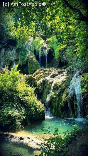 [P11] cascada Krushunski vodopadi » foto by necunoscutu
 - 
<span class="allrVoted glyphicon glyphicon-heart hidden" id="av890505"></span>
<a class="m-l-10 hidden" id="sv890505" onclick="voting_Foto_DelVot(,890505,11645)" role="button">șterge vot <span class="glyphicon glyphicon-remove"></span></a>
<a id="v9890505" class=" c-red"  onclick="voting_Foto_SetVot(890505)" role="button"><span class="glyphicon glyphicon-heart-empty"></span> <b>LIKE</b> = Votează poza</a> <img class="hidden"  id="f890505W9" src="/imagini/loader.gif" border="0" /><span class="AjErrMes hidden" id="e890505ErM"></span>