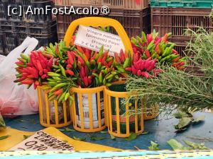 [P18] Culorile Franței » foto by crismis
 - 
<span class="allrVoted glyphicon glyphicon-heart hidden" id="av1502489"></span>
<a class="m-l-10 hidden" id="sv1502489" onclick="voting_Foto_DelVot(,1502489,11696)" role="button">șterge vot <span class="glyphicon glyphicon-remove"></span></a>
<a id="v91502489" class=" c-red"  onclick="voting_Foto_SetVot(1502489)" role="button"><span class="glyphicon glyphicon-heart-empty"></span> <b>LIKE</b> = Votează poza</a> <img class="hidden"  id="f1502489W9" src="/imagini/loader.gif" border="0" /><span class="AjErrMes hidden" id="e1502489ErM"></span>