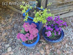 [P25] ...Și ziua chiar avea să fie șarmantă... » foto by crismis
 - 
<span class="allrVoted glyphicon glyphicon-heart hidden" id="av1502496"></span>
<a class="m-l-10 hidden" id="sv1502496" onclick="voting_Foto_DelVot(,1502496,11696)" role="button">șterge vot <span class="glyphicon glyphicon-remove"></span></a>
<a id="v91502496" class=" c-red"  onclick="voting_Foto_SetVot(1502496)" role="button"><span class="glyphicon glyphicon-heart-empty"></span> <b>LIKE</b> = Votează poza</a> <img class="hidden"  id="f1502496W9" src="/imagini/loader.gif" border="0" /><span class="AjErrMes hidden" id="e1502496ErM"></span>