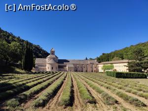 [P26] Abația celebră și șirurile sale de lavandă » foto by crismis
 - 
<span class="allrVoted glyphicon glyphicon-heart hidden" id="av1502497"></span>
<a class="m-l-10 hidden" id="sv1502497" onclick="voting_Foto_DelVot(,1502497,11696)" role="button">șterge vot <span class="glyphicon glyphicon-remove"></span></a>
<a id="v91502497" class=" c-red"  onclick="voting_Foto_SetVot(1502497)" role="button"><span class="glyphicon glyphicon-heart-empty"></span> <b>LIKE</b> = Votează poza</a> <img class="hidden"  id="f1502497W9" src="/imagini/loader.gif" border="0" /><span class="AjErrMes hidden" id="e1502497ErM"></span>