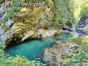 [P06] La pas prin canionul Vintgar (Slovenia) » foto by crismis
 - 
<span class="allrVoted glyphicon glyphicon-heart hidden" id="av1502478"></span>
<a class="m-l-10 hidden" id="sv1502478" onclick="voting_Foto_DelVot(,1502478,11696)" role="button">șterge vot <span class="glyphicon glyphicon-remove"></span></a>
<a id="v91502478" class=" c-red"  onclick="voting_Foto_SetVot(1502478)" role="button"><span class="glyphicon glyphicon-heart-empty"></span> <b>LIKE</b> = Votează poza</a> <img class="hidden"  id="f1502478W9" src="/imagini/loader.gif" border="0" /><span class="AjErrMes hidden" id="e1502478ErM"></span>