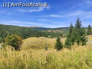 [P76] Undeva, prin munții Vrancei » foto by crismis
 - 
<span class="allrVoted glyphicon glyphicon-heart hidden" id="av1502556"></span>
<a class="m-l-10 hidden" id="sv1502556" onclick="voting_Foto_DelVot(,1502556,11696)" role="button">șterge vot <span class="glyphicon glyphicon-remove"></span></a>
<a id="v91502556" class=" c-red"  onclick="voting_Foto_SetVot(1502556)" role="button"><span class="glyphicon glyphicon-heart-empty"></span> <b>LIKE</b> = Votează poza</a> <img class="hidden"  id="f1502556W9" src="/imagini/loader.gif" border="0" /><span class="AjErrMes hidden" id="e1502556ErM"></span>