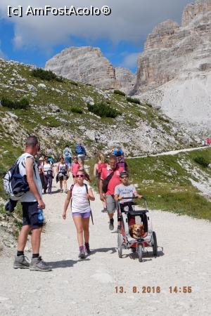 [P55] Catel protejat » foto by nickro
 - 
<span class="allrVoted glyphicon glyphicon-heart hidden" id="av898897"></span>
<a class="m-l-10 hidden" id="sv898897" onclick="voting_Foto_DelVot(,898897,11696)" role="button">șterge vot <span class="glyphicon glyphicon-remove"></span></a>
<a id="v9898897" class=" c-red"  onclick="voting_Foto_SetVot(898897)" role="button"><span class="glyphicon glyphicon-heart-empty"></span> <b>LIKE</b> = Votează poza</a> <img class="hidden"  id="f898897W9" src="/imagini/loader.gif" border="0" /><span class="AjErrMes hidden" id="e898897ErM"></span>