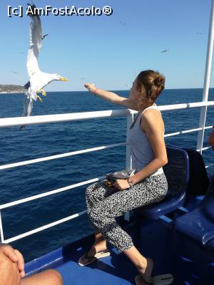 [P09] Ferry... fiica mea hranind pescarusii » foto by C.Dana
 - 
<span class="allrVoted glyphicon glyphicon-heart hidden" id="av1218220"></span>
<a class="m-l-10 hidden" id="sv1218220" onclick="voting_Foto_DelVot(,1218220,11748)" role="button">șterge vot <span class="glyphicon glyphicon-remove"></span></a>
<a id="v91218220" class=" c-red"  onclick="voting_Foto_SetVot(1218220)" role="button"><span class="glyphicon glyphicon-heart-empty"></span> <b>LIKE</b> = Votează poza</a> <img class="hidden"  id="f1218220W9" src="/imagini/loader.gif" border="0" /><span class="AjErrMes hidden" id="e1218220ErM"></span>