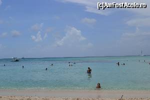 [P13]  -- <small>// FĂRĂ DESCRIERE</small> » foto by alexmara
 - 
<span class="allrVoted glyphicon glyphicon-heart hidden" id="av567111"></span>
<a class="m-l-10 hidden" id="sv567111" onclick="voting_Foto_DelVot(,567111,11752)" role="button">șterge vot <span class="glyphicon glyphicon-remove"></span></a>
<a id="v9567111" class=" c-red"  onclick="voting_Foto_SetVot(567111)" role="button"><span class="glyphicon glyphicon-heart-empty"></span> <b>LIKE</b> = Votează poza</a> <img class="hidden"  id="f567111W9" src="/imagini/loader.gif" border="0" /><span class="AjErrMes hidden" id="e567111ErM"></span>