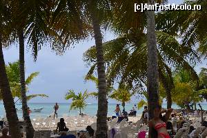 [P14]  -- <small>// FĂRĂ DESCRIERE</small> » foto by alexmara
 - 
<span class="allrVoted glyphicon glyphicon-heart hidden" id="av567112"></span>
<a class="m-l-10 hidden" id="sv567112" onclick="voting_Foto_DelVot(,567112,11752)" role="button">șterge vot <span class="glyphicon glyphicon-remove"></span></a>
<a id="v9567112" class=" c-red"  onclick="voting_Foto_SetVot(567112)" role="button"><span class="glyphicon glyphicon-heart-empty"></span> <b>LIKE</b> = Votează poza</a> <img class="hidden"  id="f567112W9" src="/imagini/loader.gif" border="0" /><span class="AjErrMes hidden" id="e567112ErM"></span>