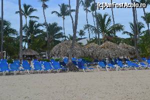 [P23]  -- <small>// FĂRĂ DESCRIERE</small> » foto by alexmara
 - 
<span class="allrVoted glyphicon glyphicon-heart hidden" id="av567121"></span>
<a class="m-l-10 hidden" id="sv567121" onclick="voting_Foto_DelVot(,567121,11752)" role="button">șterge vot <span class="glyphicon glyphicon-remove"></span></a>
<a id="v9567121" class=" c-red"  onclick="voting_Foto_SetVot(567121)" role="button"><span class="glyphicon glyphicon-heart-empty"></span> <b>LIKE</b> = Votează poza</a> <img class="hidden"  id="f567121W9" src="/imagini/loader.gif" border="0" /><span class="AjErrMes hidden" id="e567121ErM"></span>