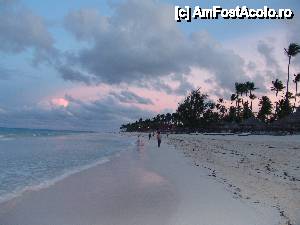 [P16] plaja seara si astea erau algele lo, fara miros pur si simplu nu le vedeai » foto by Marinescu Ana*
 - 
<span class="allrVoted glyphicon glyphicon-heart hidden" id="av478988"></span>
<a class="m-l-10 hidden" id="sv478988" onclick="voting_Foto_DelVot(,478988,11752)" role="button">șterge vot <span class="glyphicon glyphicon-remove"></span></a>
<a id="v9478988" class=" c-red"  onclick="voting_Foto_SetVot(478988)" role="button"><span class="glyphicon glyphicon-heart-empty"></span> <b>LIKE</b> = Votează poza</a> <img class="hidden"  id="f478988W9" src="/imagini/loader.gif" border="0" /><span class="AjErrMes hidden" id="e478988ErM"></span>