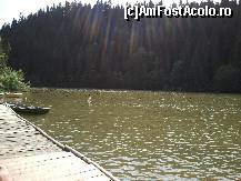[P17] Lacul Rosu » foto by danastra
 - 
<span class="allrVoted glyphicon glyphicon-heart hidden" id="av329790"></span>
<a class="m-l-10 hidden" id="sv329790" onclick="voting_Foto_DelVot(,329790,11758)" role="button">șterge vot <span class="glyphicon glyphicon-remove"></span></a>
<a id="v9329790" class=" c-red"  onclick="voting_Foto_SetVot(329790)" role="button"><span class="glyphicon glyphicon-heart-empty"></span> <b>LIKE</b> = Votează poza</a> <img class="hidden"  id="f329790W9" src="/imagini/loader.gif" border="0" /><span class="AjErrMes hidden" id="e329790ErM"></span>