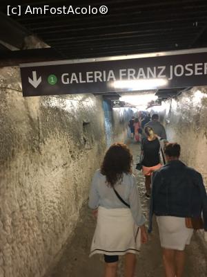 [P03] DE aici pereții galeriei de intrare sunt din sare » foto by Yersinia Pestis
 - 
<span class="allrVoted glyphicon glyphicon-heart hidden" id="av901069"></span>
<a class="m-l-10 hidden" id="sv901069" onclick="voting_Foto_DelVot(,901069,11779)" role="button">șterge vot <span class="glyphicon glyphicon-remove"></span></a>
<a id="v9901069" class=" c-red"  onclick="voting_Foto_SetVot(901069)" role="button"><span class="glyphicon glyphicon-heart-empty"></span> <b>LIKE</b> = Votează poza</a> <img class="hidden"  id="f901069W9" src="/imagini/loader.gif" border="0" /><span class="AjErrMes hidden" id="e901069ErM"></span>