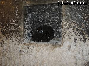 [P01]  -- <small>// FĂRĂ DESCRIERE</small> » foto by mafteimarian
 - 
<span class="allrVoted glyphicon glyphicon-heart hidden" id="av556234"></span>
<a class="m-l-10 hidden" id="sv556234" onclick="voting_Foto_DelVot(,556234,11779)" role="button">șterge vot <span class="glyphicon glyphicon-remove"></span></a>
<a id="v9556234" class=" c-red"  onclick="voting_Foto_SetVot(556234)" role="button"><span class="glyphicon glyphicon-heart-empty"></span> <b>LIKE</b> = Votează poza</a> <img class="hidden"  id="f556234W9" src="/imagini/loader.gif" border="0" /><span class="AjErrMes hidden" id="e556234ErM"></span>