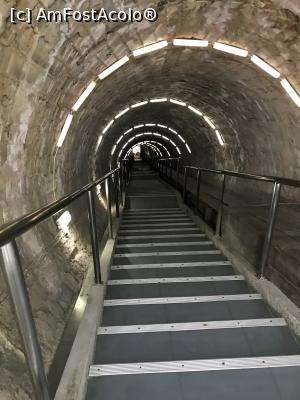 [P04] Primul tunel, cel cu trepte » foto by krisstinna
 - 
<span class="allrVoted glyphicon glyphicon-heart hidden" id="av1155126"></span>
<a class="m-l-10 hidden" id="sv1155126" onclick="voting_Foto_DelVot(,1155126,11779)" role="button">șterge vot <span class="glyphicon glyphicon-remove"></span></a>
<a id="v91155126" class=" c-red"  onclick="voting_Foto_SetVot(1155126)" role="button"><span class="glyphicon glyphicon-heart-empty"></span> <b>LIKE</b> = Votează poza</a> <img class="hidden"  id="f1155126W9" src="/imagini/loader.gif" border="0" /><span class="AjErrMes hidden" id="e1155126ErM"></span>