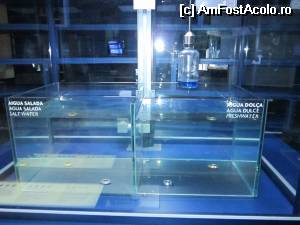 [P04] Experimentul care dovedea că obiectele plutesc în apă sărată » foto by cdiana
 - 
<span class="allrVoted glyphicon glyphicon-heart hidden" id="av530870"></span>
<a class="m-l-10 hidden" id="sv530870" onclick="voting_Foto_DelVot(,530870,11796)" role="button">șterge vot <span class="glyphicon glyphicon-remove"></span></a>
<a id="v9530870" class=" c-red"  onclick="voting_Foto_SetVot(530870)" role="button"><span class="glyphicon glyphicon-heart-empty"></span> <b>LIKE</b> = Votează poza</a> <img class="hidden"  id="f530870W9" src="/imagini/loader.gif" border="0" /><span class="AjErrMes hidden" id="e530870ErM"></span>